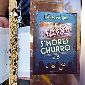 Disneyland Classic Snack -- Churros