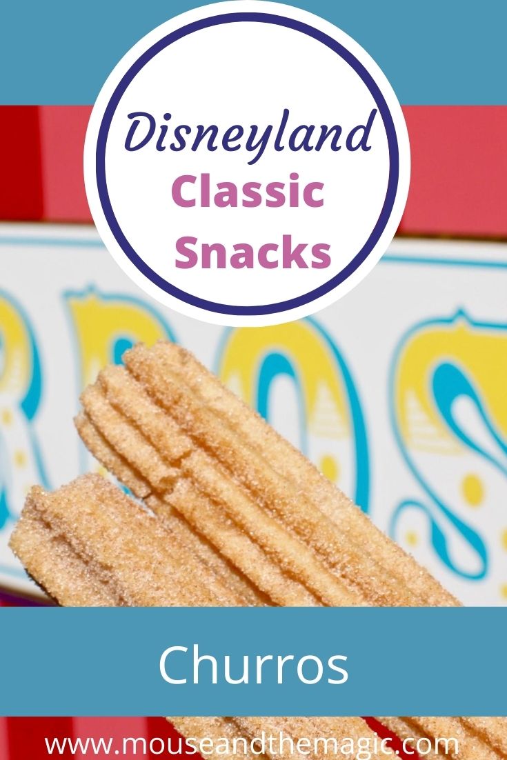 Disneyland Classic Snack -- Churros