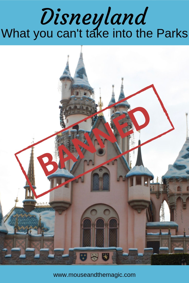 Banned at Disneyland - What You Can't Take into the Parks