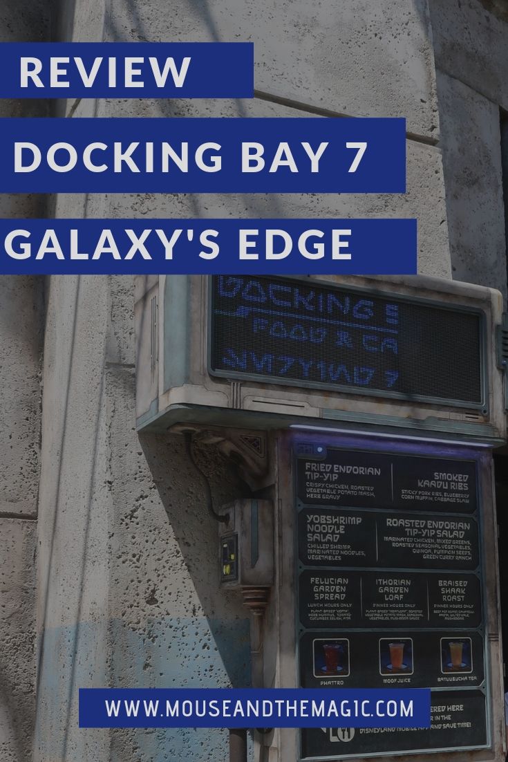Review Docking Bay 7 Galaxy's Edge - Disneyland