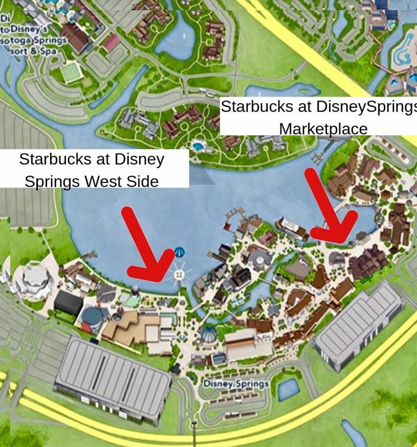 Everything You Need to Know About Starbucks at Walt Disney World 