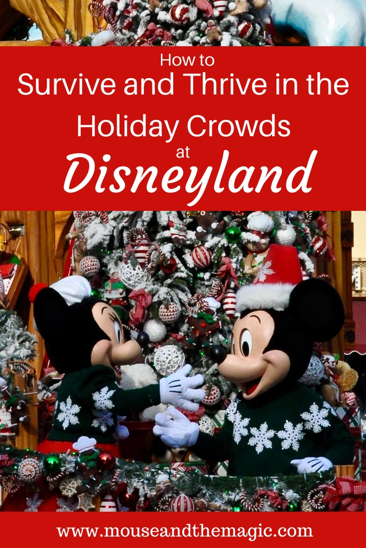 How to Survive and Thrive  in the Holiday Crowds at Disneyland