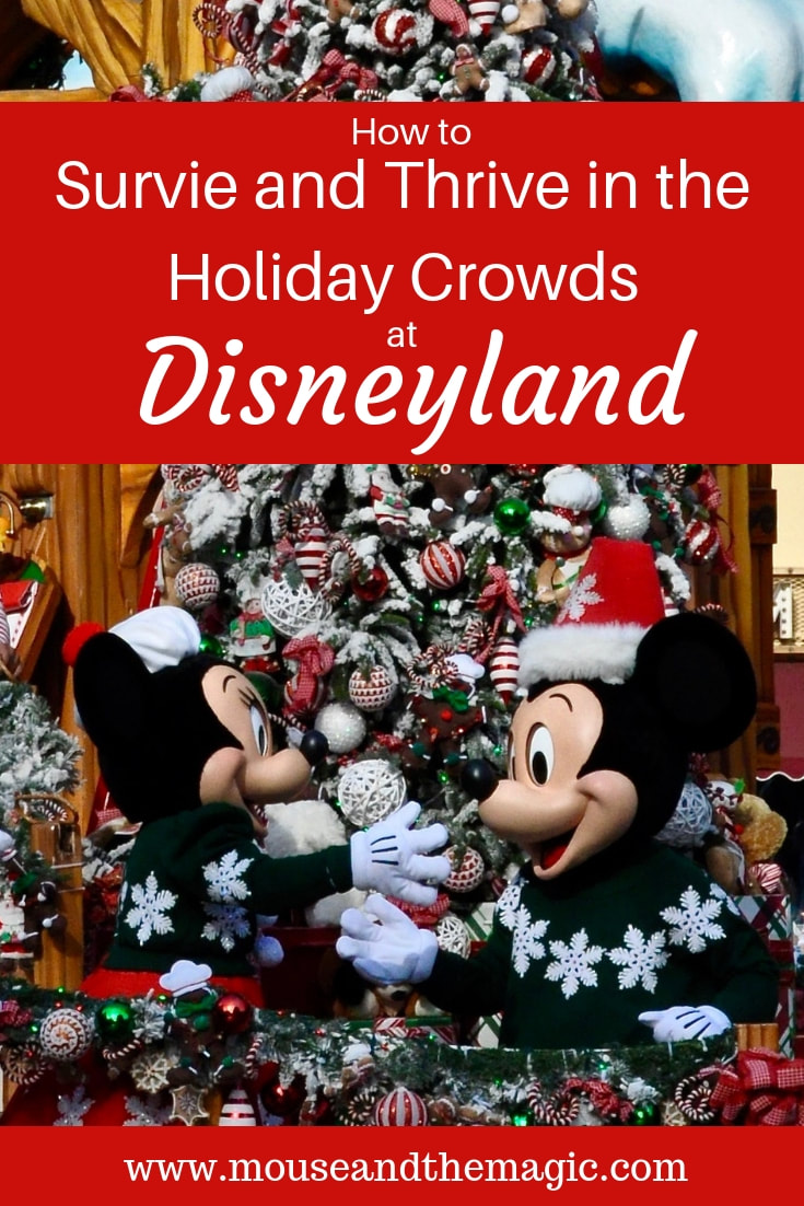 How to Survive and Thrive in Holiday Crowds at Disneyland