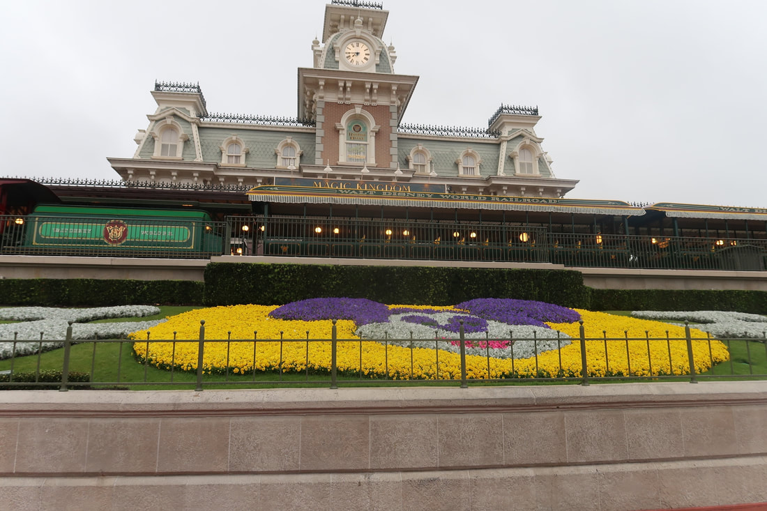 Everything You Need to Know About Early Morning Magic at Magic Kingdom