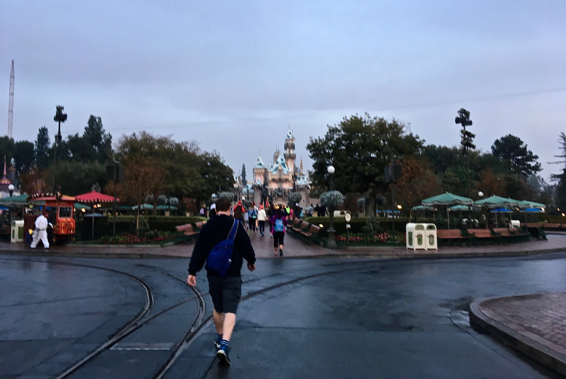 How to Survive and Thrive  in the Holiday Crowds at Disneyland