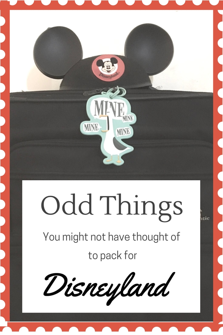 Odd Things to Pack for your Disneyland Vacation