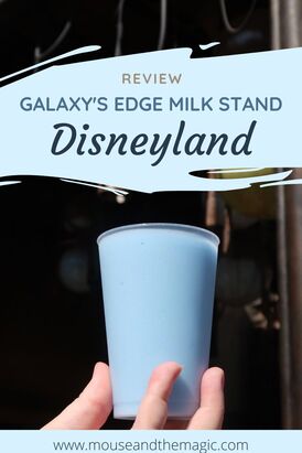 Galaxy's Edge Milk Stand - Disneyland