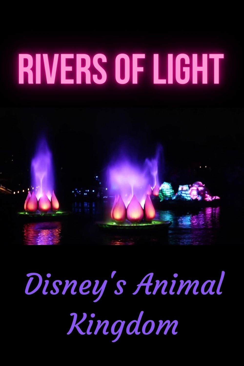 Rivers of Light - Animal Kingdom - Full Show Video